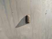 Waschwasserdüse Scheibenreinigung Ford Mondeo, 2000.11 - 2007.03 Gebraucht,