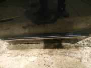 Zierleiste Tür Zier-Schutzleiste - Hinten Linke Mercedes-Benz A-CLASS, W169, 2004.09 - 2008.09 Gebraucht,