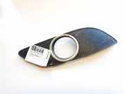 Kühlergrill - Vorne Rechts Mercedes-Benz W245 2005 - 2011 a1698851222, 211000028