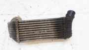 Ladeluftkühler Peugeot 307, 2000.08 - 2005.06 BEHR66948, 96366353802