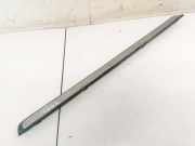 Einstiegsleiste vorne links Nissan Primera, P12 2002.01 - 2008.12 769B1AV710,