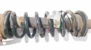 Fahrwerksfeder Hinterachse Lexus IS, II 2005.10 - 2013.03 Gebraucht,