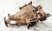 Differential Hinterachsgetriebe Toyota RAV-4, II 2000.09 - 2005.11 Gebraucht,