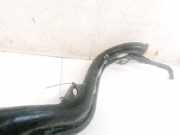 Tankeinfüllstutzen Tankrohr Kraftstoffrohr Renault Megane, II 2002.11 - 2006.06 Gebraucht ,