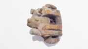 Bremssattel - Hinten Rechts Rover 75, 1999.02 - 2005.05 Gebraucht,