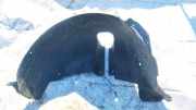 Radhausschale - Hinten Linke Seat Ibiza, IV 2008.03 - 2012.06 6J0810969,