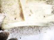 Motorabdeckung Mercedes-Benz W211, 2002.03 - 2006.04 a6470100167,