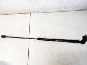 Gasdruckfeder Kofferraum Hyundai i30 2007 - 2012 817702l000, 81770-2l000 7825wg0310n