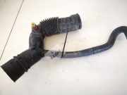 Schlauch für Luftversorgung Renault Scenic, I 1996.01 - 1999.09 7700866642,