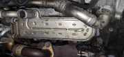 Abgaskühler AGR-Kühler Volkswagen Passat, B6 2005.08 - 2010.11 038131513ad, BXE