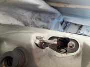 Türfangband Türbremse Türstopper - Vorne Linke Citroen C5, I 2001.03 - 2008.02 Gebraucht,