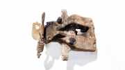 Bremssattel - Hinten Rechts Toyota Avensis, III 2009.02 - 2012.06 0204y04614,