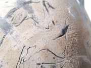 Radhausschale - Hinten Rechts Suzuki Grand Vitara, II 2005.04 - 2009.06 75852165j00,758521-65j00