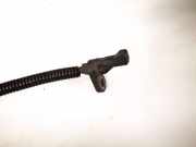 Sensor für ABS - Hinten Linke Citroen C8, I 2002.07 - 2008.06 1494167080, 10.0711-6066.3