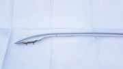 Dachreling Linke Peugeot 407, 2004.05 - 2010.12 Gebraucht,