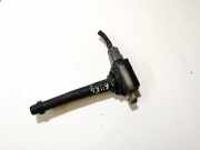 Z?ndspule Renault Laguna, III 2007.10 - 2010.11 1220703030,0221604014 22448ed800