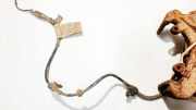 Kabelbaum Opel Astra, G 1998.09 - 2004.12 09131387,