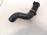Kühlerschlauch Opel Signum, 2003.05 - 2008.06 Gebraucht,