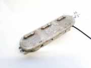 Innenraumleuchte Renault Scenic, II 2006.06 - 2009.02 facelift Gebraucht,