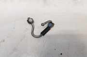 Einspritzleitung Nissan Qashqai, I 2006.01 - 2010.06 Gebraucht,