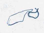 Servoleitung Leitung Servo Servoschlauch Schlauch Opel Vectra, B 1995.09 - 2000.09 Gebraucht,