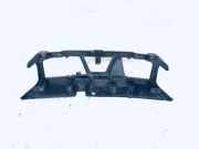 Schloßträger Renault Scenic, II 2003.06 - 2006.06 8200140174,00003s28