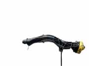 Ölmessstab Renault Laguna, III 2007.10 - 2010.11 Used,Used