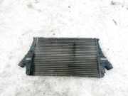 Ladeluftkühler Opel Signum, 2003.05 - 2008.06 244118366, 872231J