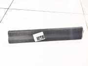 Einstiegsleiste vorne links Dodge Journey. 2009.01 - 2014.12 100000370, 1be49trmab