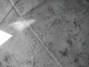 Seitenscheibe - Vorne Rechts Ford Transit, III 2000.01 - 2006.04 as2,