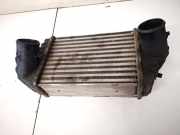 Ladeluftkühler Fiat Stilo, 2001.10 - 2007.01 838065000,