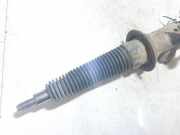 Stoßdämpfer - Vorne Rechts Renault Laguna, I 1994.01 - 2001.03 Gebraucht,