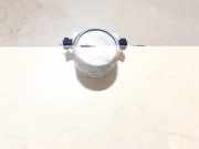 Bremskraftregler Audi A5, 2007.06 - 2012.06 Gebraucht,