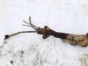 Lenkgetriebe Subaru Forester, III 2008.01 - 2012,12 LHD,