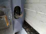 Türfangband Türbremse Türstopper - Vorne Rechts Renault Scenic, I 1996.01 - 1999.09 Gebraucht,