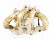 Ansaugkrümmer Nissan Almera, N16 2003.01 - 2006.12 facelift Gebraucht,