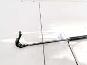 Gasdruckfeder Kofferraum Toyota Yaris, I (XP10) 2003.03 - 2005.09 facelift 689500D010,