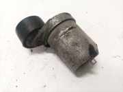 Spannrolle Opel Vivaro A, 2001.08 - 2014.07 080220139,