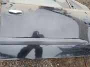 Zierleiste Tür Zier-Schutzleiste - Vorne Rechts Nissan Almera, N16 2000.06 - 2003.01 Gebraucht,