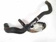 Kühlerschlauch Citroen C5, I 2004.08 - 2008.02 facelift Gebraucht,