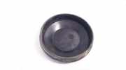 Blende Scheinwerfer - Vorne Renault Scenic, II 2003.06 - 2006.06 153874,153874