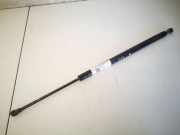 Gasdruckfeder Kofferraum BMW X5, E53 2000.01 - 2003 Gebraucht,