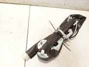 Kopfairbag - Vorne Linke Renault Megane, III 2008.11 - 2012.06 985p10021rb,