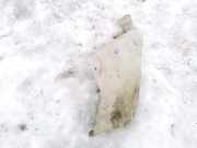 Scheibenwaschbeh?lter Vorne Wischwasserbeh?lter Peugeot 206, 2002.07 - 2009.01 facelift 9628747480,