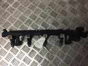 Kraftstoffverteiler Ford Fiesta, VI 2008.12 - 2012.10 VP8A6UAB,VP8A6U-AB 8A6G-9H487-AB 0280158207