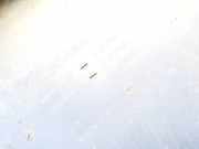 Innenausstattung Mercedes-Benz Sprinter, I 1995.02 - 2006.05 9017200048,173779901