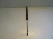 Gasdruckfeder Kofferraum Citroen DS3, I 2009.01 - 2016.06 9687550980,7000210370B0