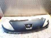 Kühlergrill Frontgrill Kühlergitter Peugeot 1007, 2005.04 - 2009.12 Gebraucht,