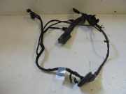 Kabelbaum Audi A5 (8T8F), 2007.06 - 2012.06 8t8971688j, tab010766qj