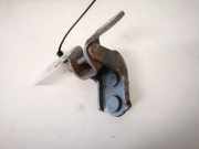 Türscharnier Vorne Renault Vel Satis, 2002.06 - 2009.12 Gebraucht,